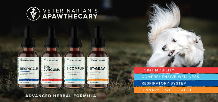 A Trusted Line, Now for Every Pet Parent: The Relaunch of Veterinarian’s Apawthecary