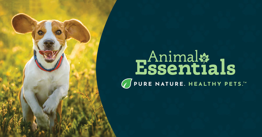 New Look, Same Mission: Natural Wellness for Pets