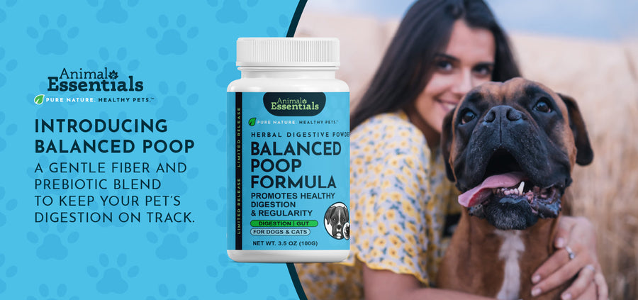 Introducing Balanced Poop: Daily Fiber & Prebiotic Support for Pets