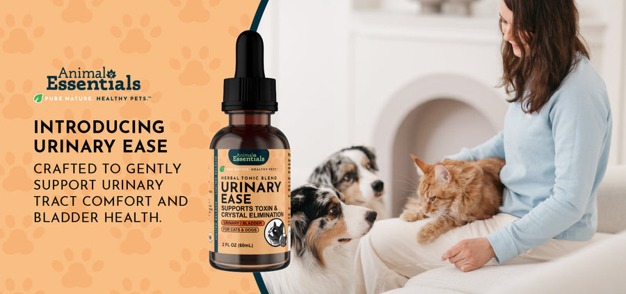 Urinary Ease: Natural Support for Bladder Crystal Prevention