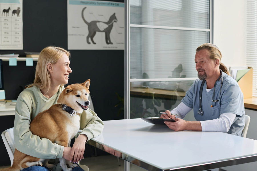 What Does A Holistic Veterinarian Do?