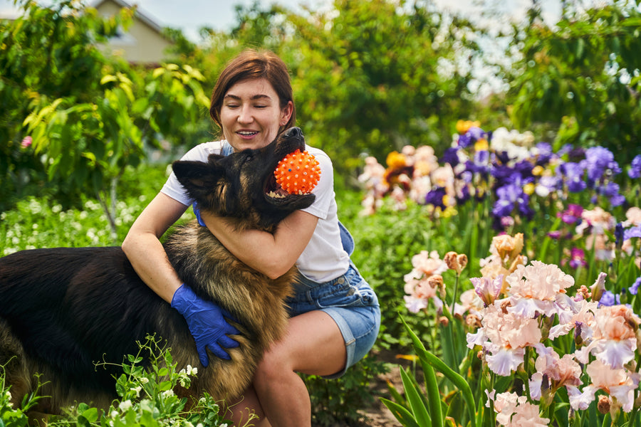 Why People Think Garlic Is Dangerous for Dogs