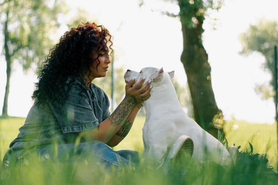 Tips for Choosing Natural Supplements for Pets