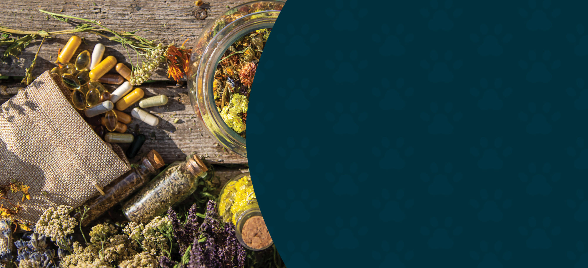 Herbal Capsules – Clean, Convenient Support for Dogs & Cats