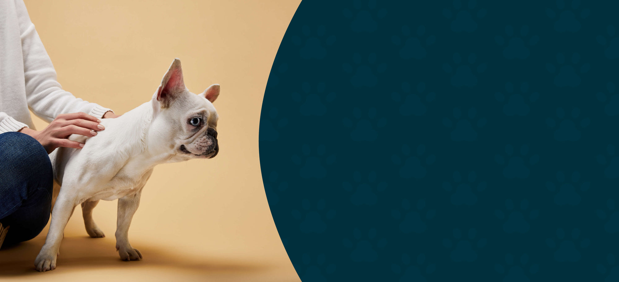 Topical Herbal Supplements – Skin & Ear Care for Dogs & Cats