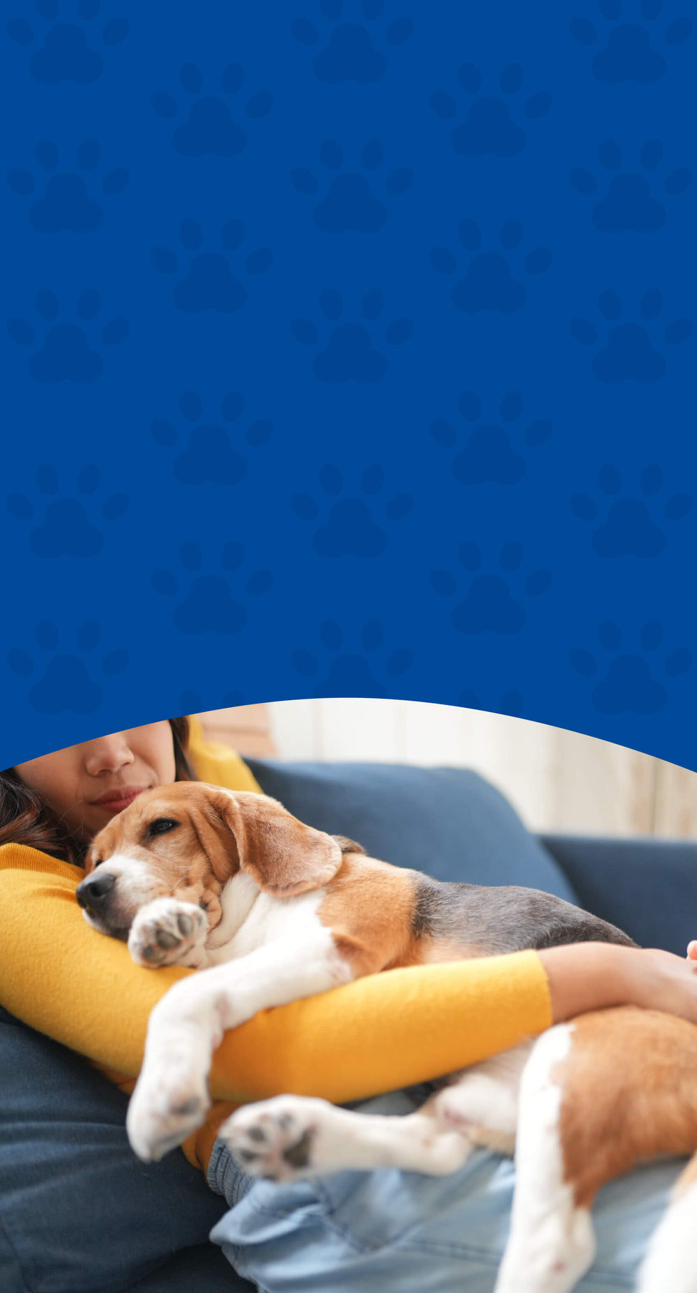 Stress & Calm Herbal Support – Natural Relief for Anxious Pets