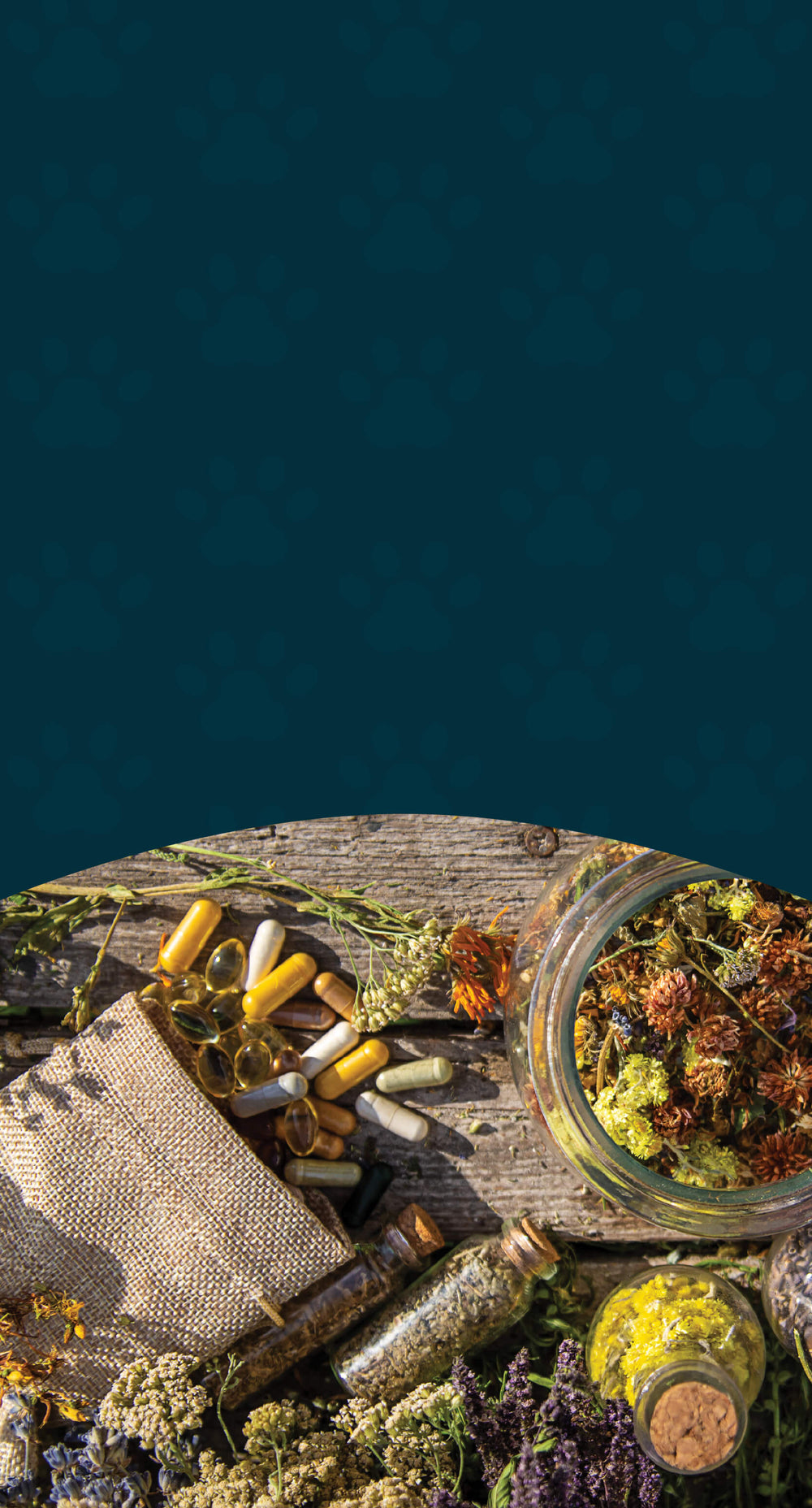 Herbal Capsules – Clean, Convenient Support for Dogs & Cats