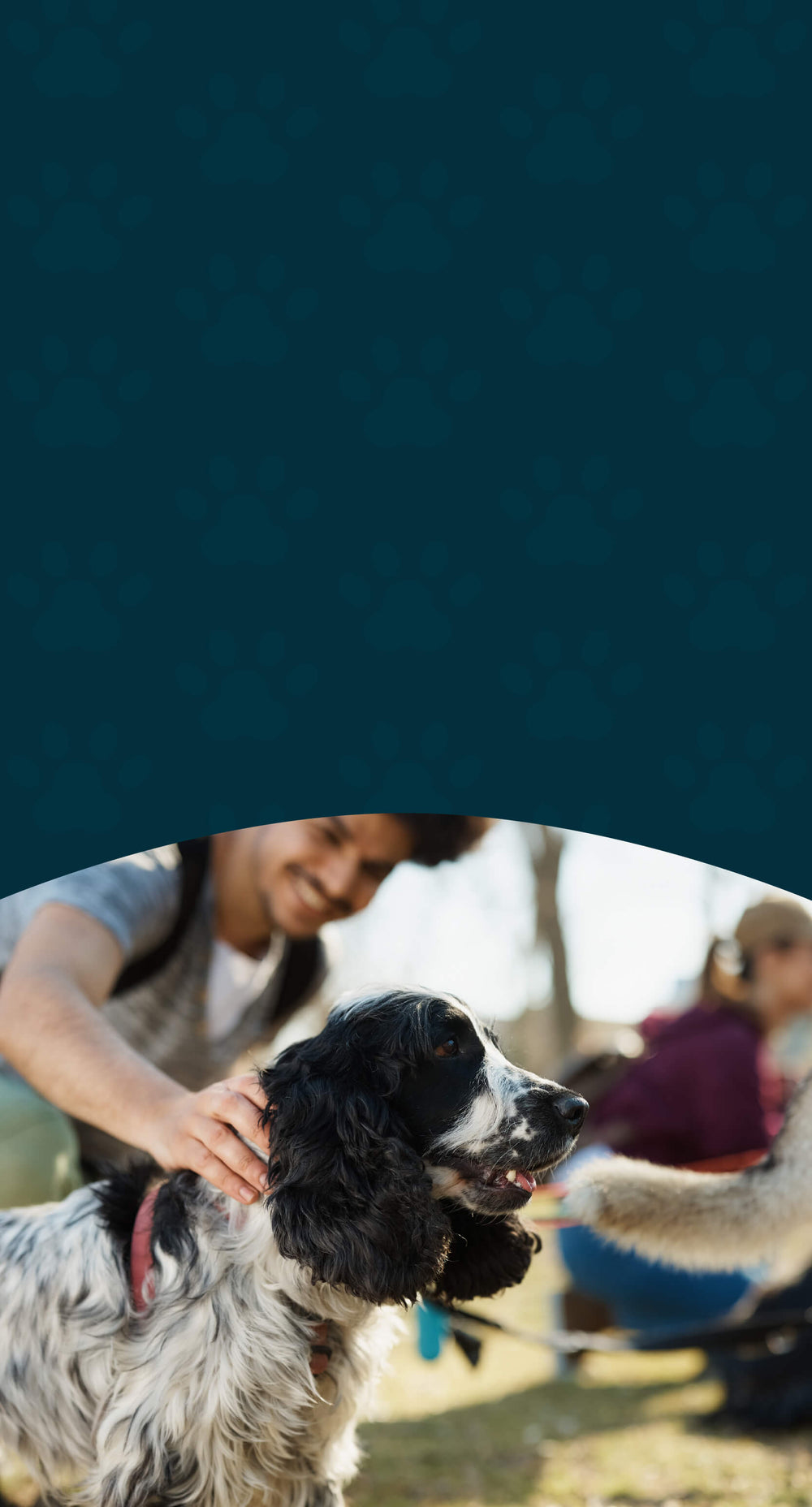 All Herbal Pet Supplements – Trusted Support for Dogs & Cats