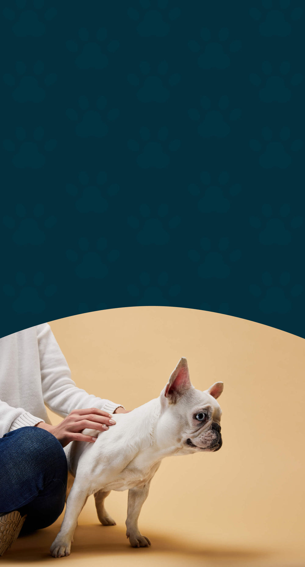 Topical Herbal Supplements – Skin & Ear Care for Dogs & Cats