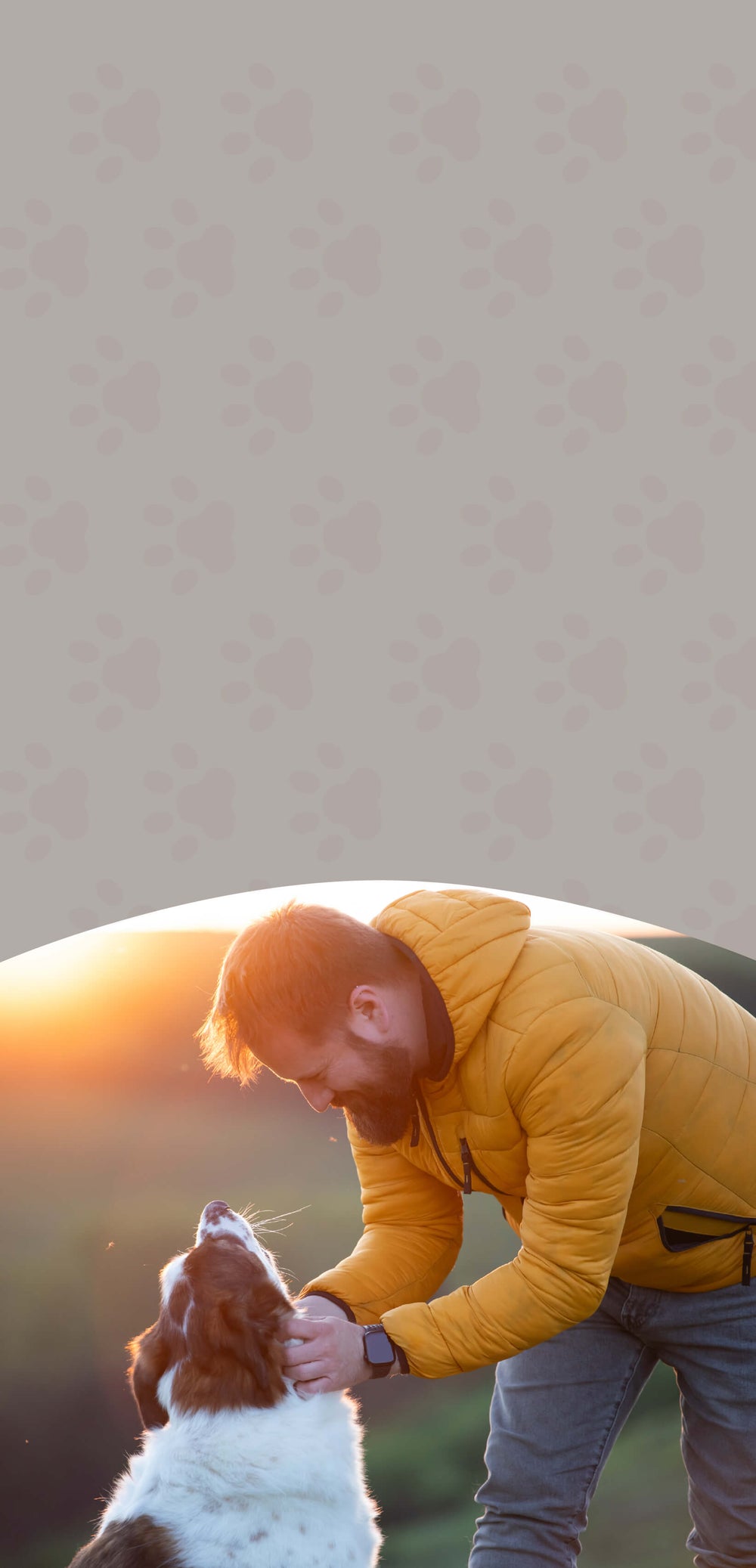 Contact Us – We're Here to Help You & Your Pets