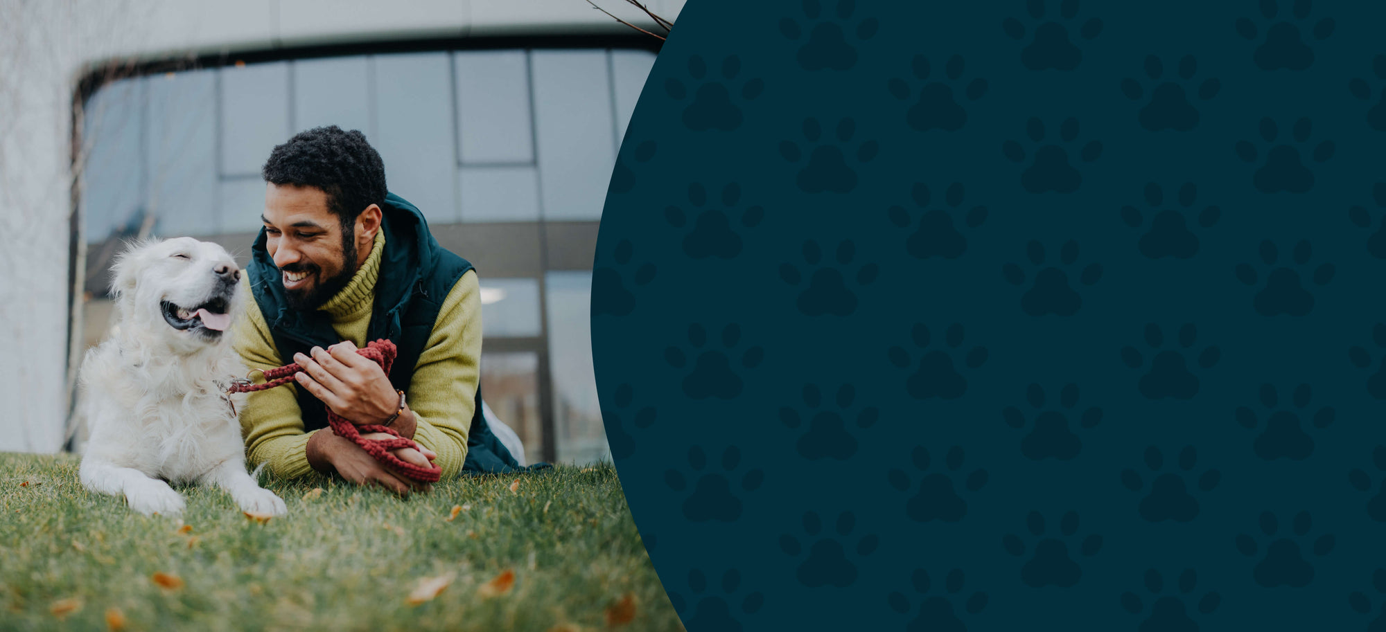 Daily Herbal Essentials – Foundational Wellness for Dogs & Cats