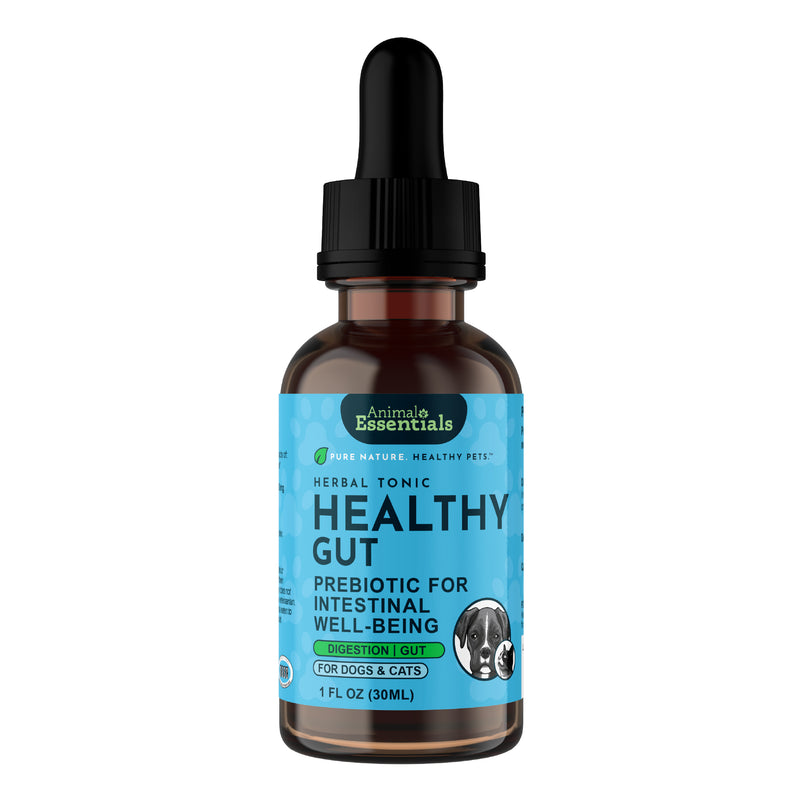 Animal Essentials Healthy Gut Herbal Formula for dogs and cats, made with fennel, marshmallow, chicory, and yucca to support digestion and gut balance.