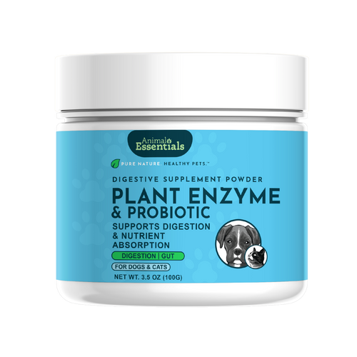 Plant Enzyme and Probiotic Powder | Digestive Support