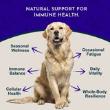 Animal Essentials Mushroom Defense — image 2