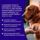 Animal Essentials Mushroom Defense — image 5