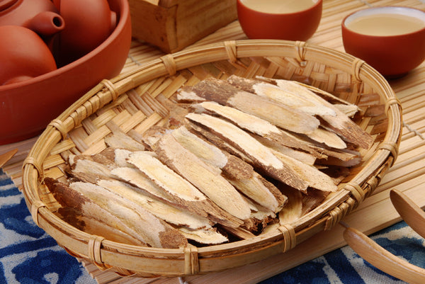 Astragalus Root (Astragalus membranaceus)
