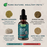 Brain Awake Herbal Tonic Blend | Supports Cognitive Function | 1oz ONLY