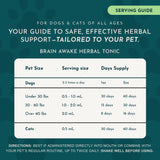 Brain Awake Herbal Tonic Blend | Supports Cognitive Function | 1oz ONLY