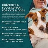 Brain Awake Herbal Tonic Blend | Supports Cognitive Function | 1oz ONLY