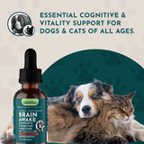 Brain Awake Herbal Tonic Blend | Supports Cognitive Function | 1oz ONLY