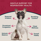 Breathe EZ Herbal Tonic Blend | Promotes Clear, Easy Breathing