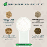 Colon Rescue Herbal Digestive Powder | Digestive Support