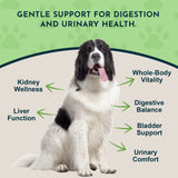 Dandelion Single Herb Tonic | Supports Healthy Liver Function