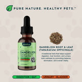 Dandelion Single Herb Tonic | Supports Healthy Liver Function