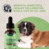 Dandelion Single Herb Tonic | Supports Healthy Liver Function