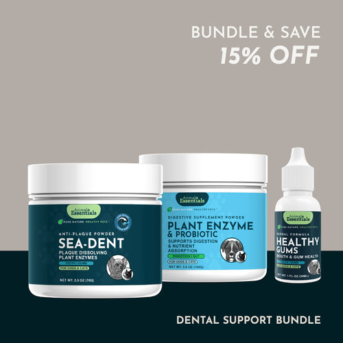 Animal Essentials Dental Support Bundle for dogs and cats, featuring herbal formulas and natural supplements to promote healthy teeth, gums, and fresh breath.