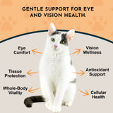 Eye Defense Herbal Tonic Blend | Supports & Maintains Ocular Health