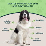 FidoDerm Skin Spray | Soothes & Speeds Healing Fast