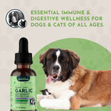 Garlic Single Herb Tonic | Antioxidant Protection