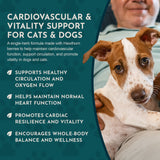 Hawthorn Berry Herbal Tonic | Supports Cardiovascular Function