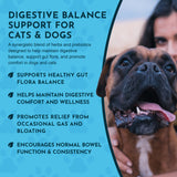 Healthy Gut Herbal Tonic Blend | Prebiotic for Intestinal Well-Being