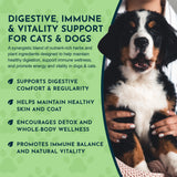 Herbal Green Alternative Powder | Supports Detox, Digestion & Vitality