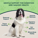 Licorice Herbal Tonic | Supports Liver, Gut & Immune System