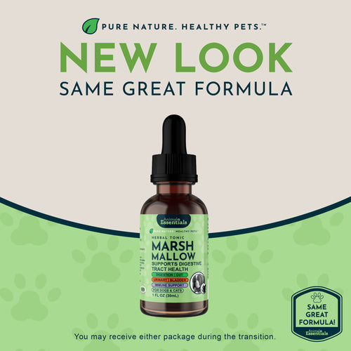 Marshmallow Herbal Tonic | Supports Digestive Tract Health