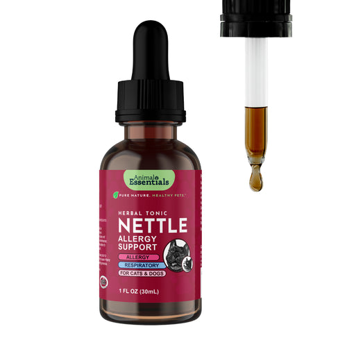 Nettle Herbal Tonic | Allergy Support