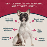 Nettle Herbal Tonic | Allergy Support