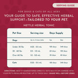 Nettle Herbal Tonic | Allergy Support