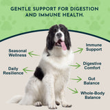 Olive Leaf Herbal Tonic | Promotes Resistance to Pathogens