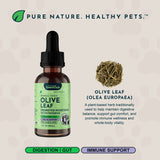 Olive Leaf Herbal Tonic | Promotes Resistance to Pathogens