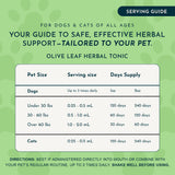Olive Leaf Herbal Tonic | Promotes Resistance to Pathogens