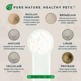 Plant Enzyme and Probiotic Powder | Digestive Support