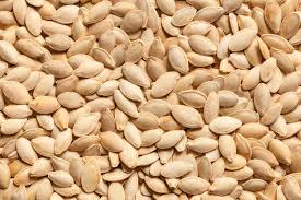 Pumpkin Seed (Cucurbita pepo)