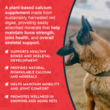 Sea-Cal | Seaweed Calcium Supplement Powder | Strong Bones & Healthy Joints | 240G