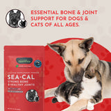 Sea-Cal | Seaweed Calcium Supplement Powder | Strong Bones & Healthy Joints | 240G