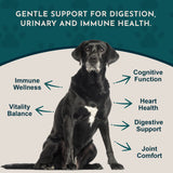 Senior Support Herbal Tonic Blend | Helps Maintain Optimal Health