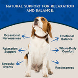 Skullcap Herbal Tonic | Promotes Calm